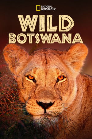 Wild Botswana Wild Botswana