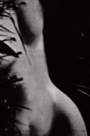 Ariel loquitur Ariel loquitur