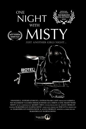 One Night with Misty