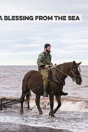 A Blessing from the Sea A Blessing from the Sea