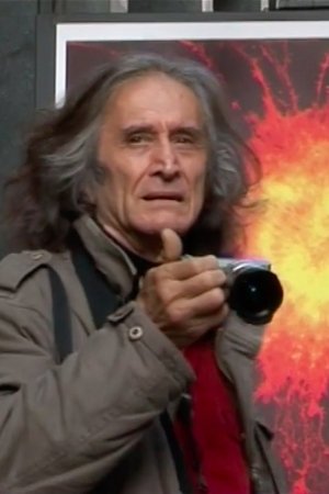 Into the Wild Into the Wild