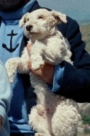 Milo