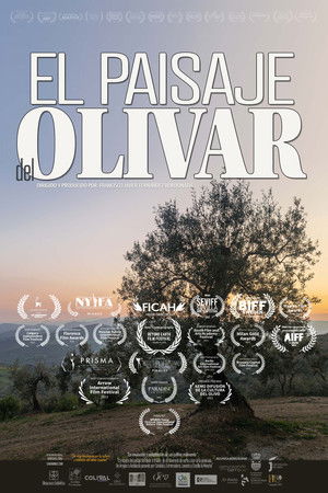 El paisaje del olivar El paisaje del olivar