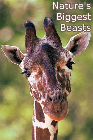 Nature's Biggest Beasts Nature's Biggest Beasts