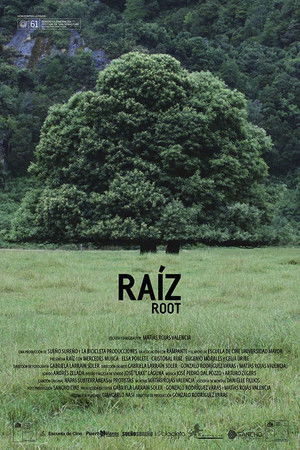 Root Root