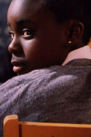 Concrete Garden Concrete Garden