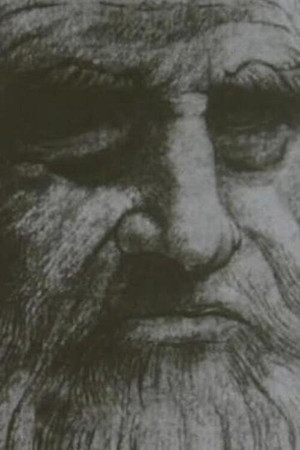 Leonardo Da Vinci The Tragic Pursuit of Perfection Leonardo Da Vinci The Tragic Pursuit of Perfection
