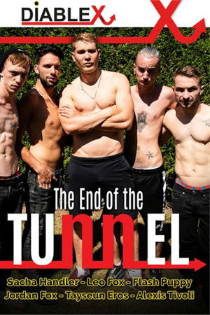 The End of the Tunnel The End of the Tunnel