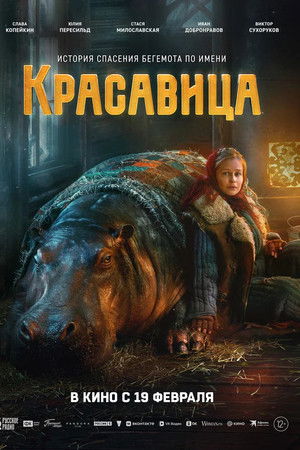 Красавица Красавица