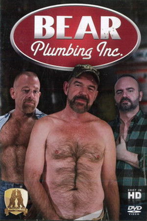 Bear Plumbing Inc. Bear Plumbing Inc.