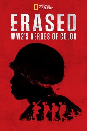 Erased: WW2's Heroes of Color Erased: WW2's Heroes of Color