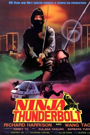 Ninja Thunderbolt Ninja Thunderbolt