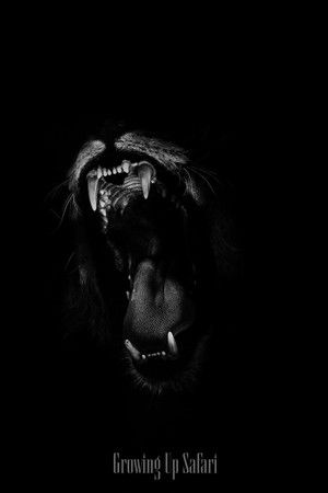 Animal Planet: Growing Up Safari