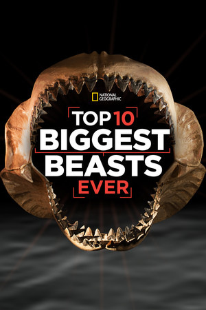 Top 10 Biggest Beasts Ever Top 10 Biggest Beasts Ever