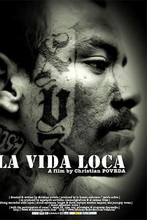 The Crazy Life The Crazy Life