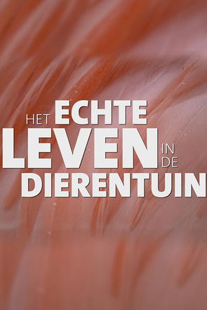 Real Life in the Zoo Real Life in the Zoo