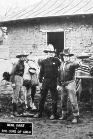 The Lure of Gold The Lure of Gold