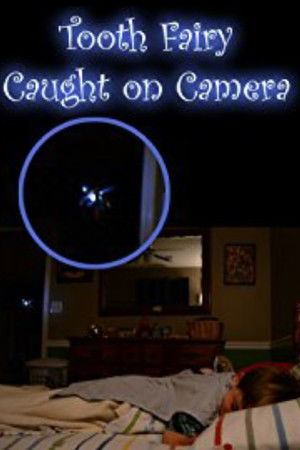 Tooth Fairy Caught on Camera! Tooth Fairy Caught on Camera!