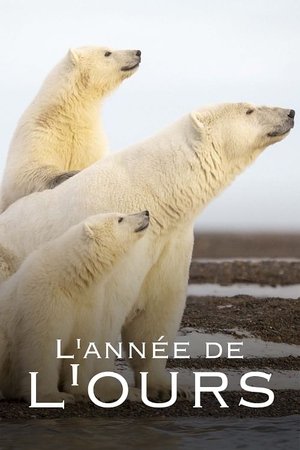 L'Année de l'ours L'Année de l'ours