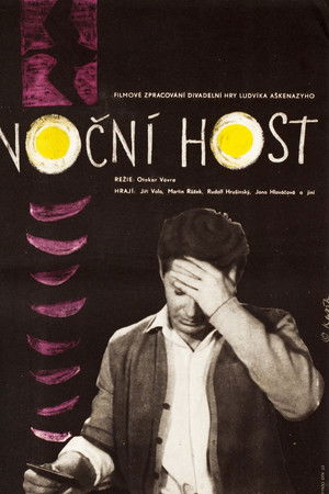 The Night Guest The Night Guest