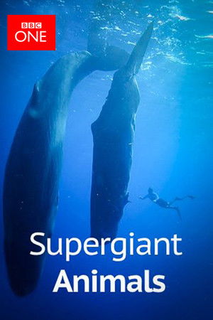 Supergiant Animals Supergiant Animals