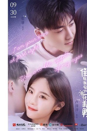 My Handsome Roommate My Handsome Roommate