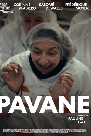 Pavane Pavane
