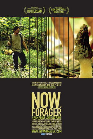 Now, Forager Now, Forager