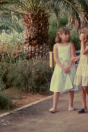 Operation Maya Operation Maya