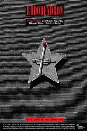 Rododendron Rododendron