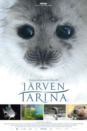 Tale of a Lake Tale of a Lake