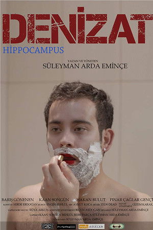 Hippocampus Hippocampus