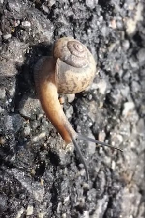 Hong Sangsoo – Winner of the Silver Bear for Best Screenplay Hong Sangsoo – Winner of the Silver Bear for Best Screenplay