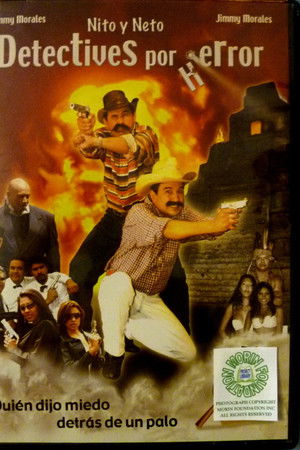 Detectives por error