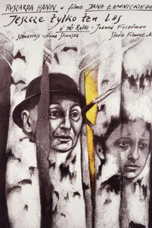 Just Beyond This Forest Just Beyond This Forest