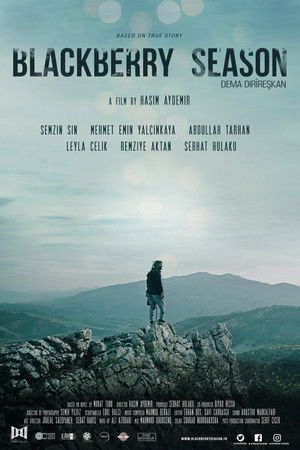 Blackberry Season Blackberry Season