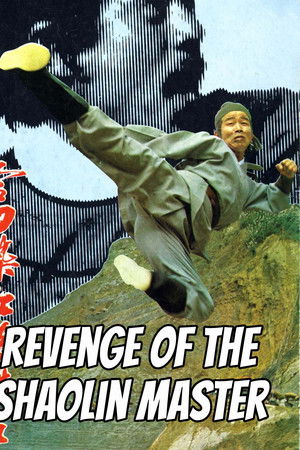 Revenge of a Shaolin Master