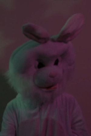 Nightshade Nightshade