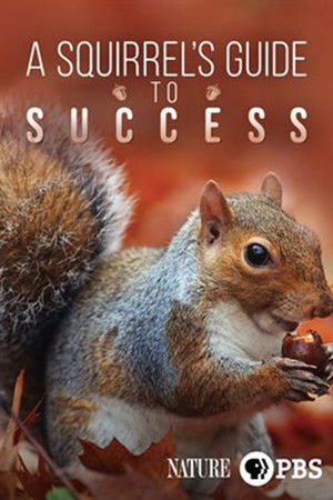 A Squirrel's Guide to Success A Squirrel's Guide to Success