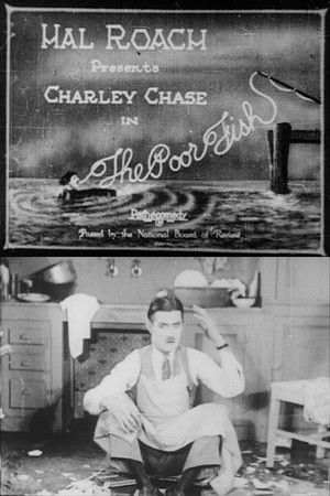 The Poor Fish The Poor Fish