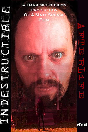 Indestructible: Afterlife Indestructible: Afterlife