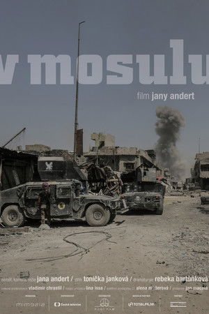 Inside Mosul