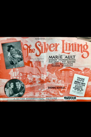 The Silver Lining The Silver Lining