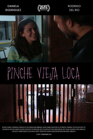 Pinche Vieja Loca Pinche Vieja Loca