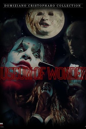 The Museum Of Wonders The Museum Of Wonders