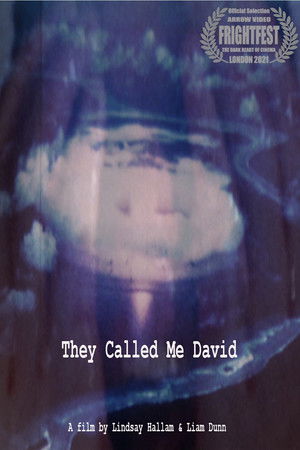 They Called Me David They Called Me David