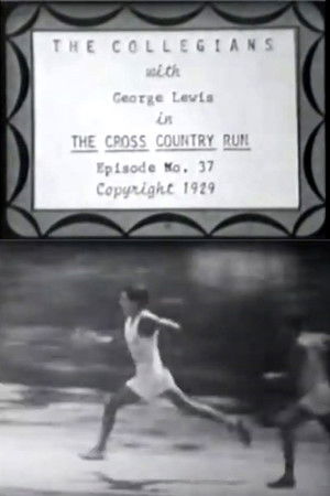 The Cross Country Run The Cross Country Run