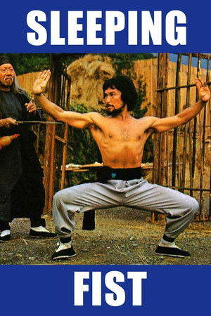 Sleeping Fist Sleeping Fist