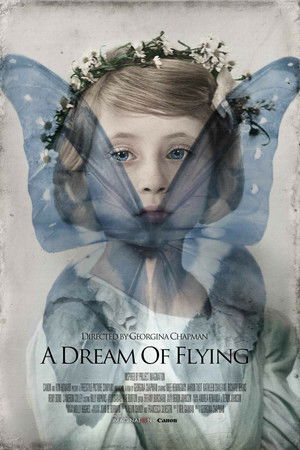 A Dream of Flying A Dream of Flying
