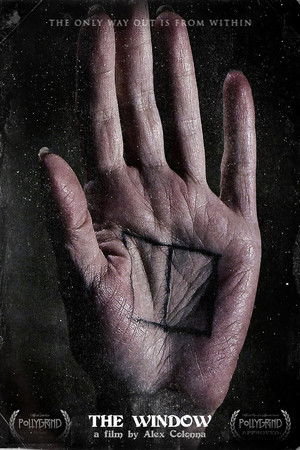 The Window The Window